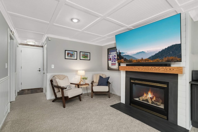 4119 Sylvia Ln S, Shoreview, MN 55126 - sitting room with a large fireplace, carpet floors, and wainscoting