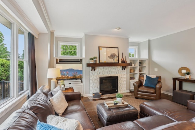 11560 Ashley Ct, Inver Grove Heights, MN 55077 - living room with crown molding, wood finished floors, a fireplace, plenty of natural light, and baseboards