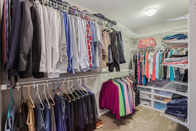 11560 Ashley Ct, Inver Grove Heights, MN 55077 - walk in closet with carpet floors
