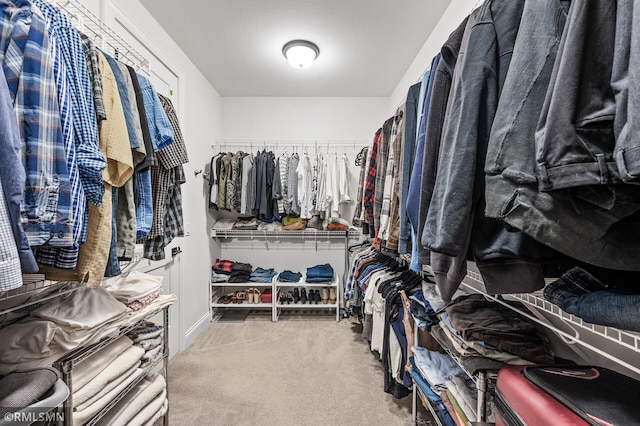 7023 61st St S, Cottage Grove, MN 55016 - walk in closet featuring carpet