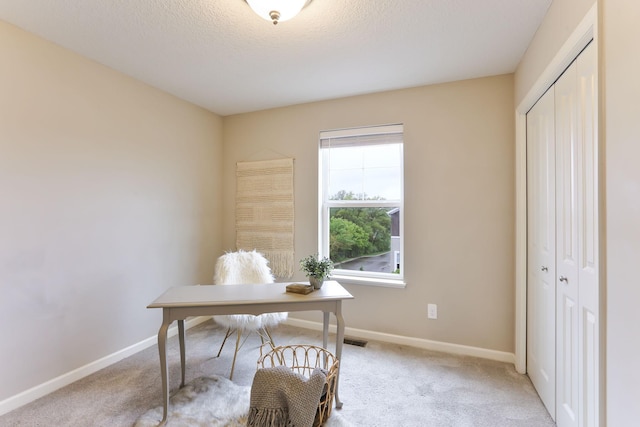 2189 Gateway Hill Rd N, Saint Paul, MN 55109 - home office with light colored carpet, baseboards, and a textured ceiling