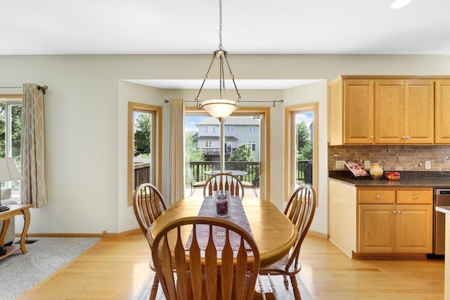 10320 Quail Cir N, Brooklyn Park, MN 55443 - photo 10