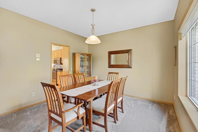10320 Quail Cir N, Brooklyn Park, MN 55443 - photo 17