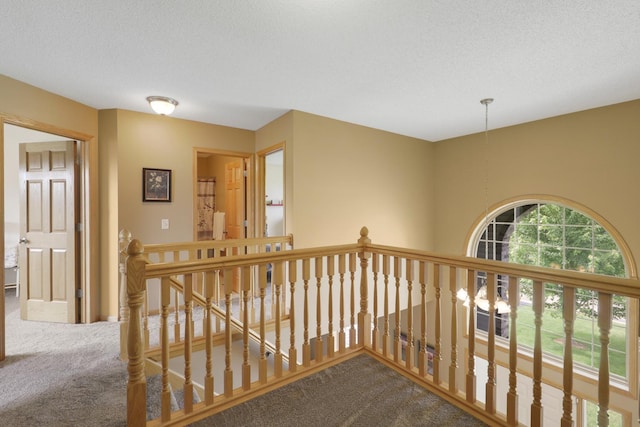 10320 Quail Cir N, Brooklyn Park, MN 55443 - photo 23