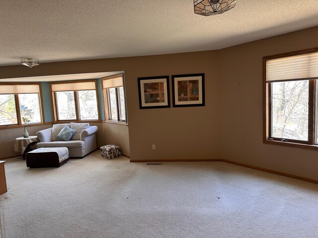 12640 Tiffany Ct, Burnsville, MN 55337 - photo 35