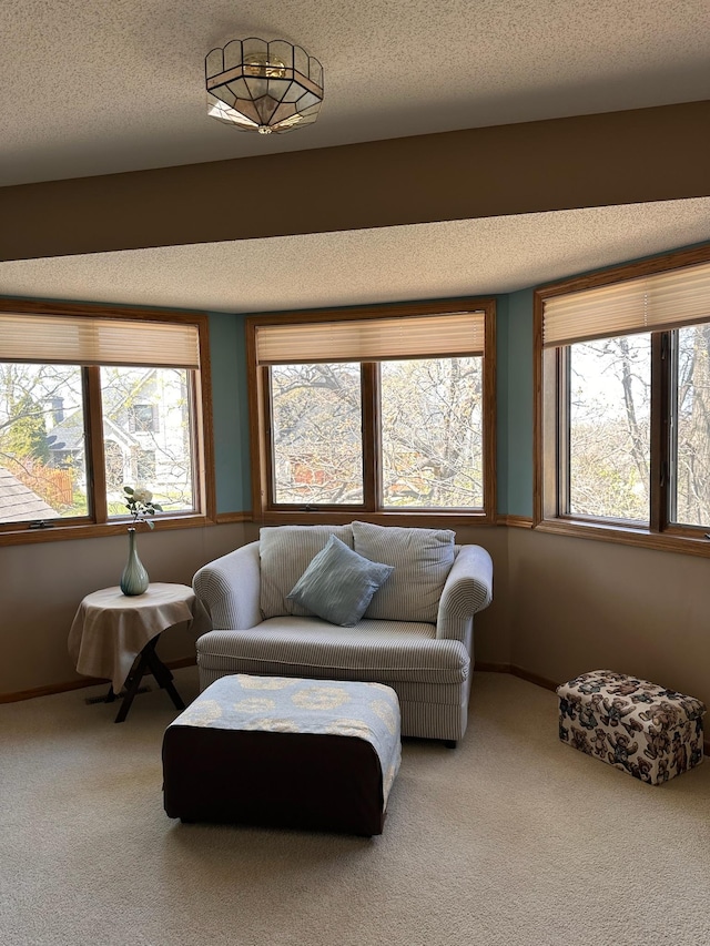 12640 Tiffany Ct, Burnsville, MN 55337 - photo 36