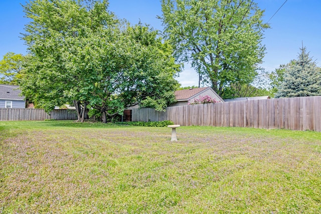 3372 Texas Ave S, Saint Louis Park, MN 55426 - view of yard