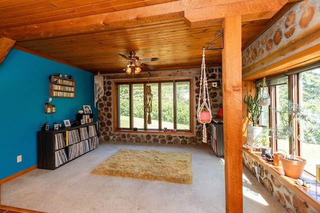 12926 Daisy Ln SW, Farwell, MN 56327 - living area featuring wooden ceiling, healthy amount of natural light, carpet floors, ceiling fan, and baseboards