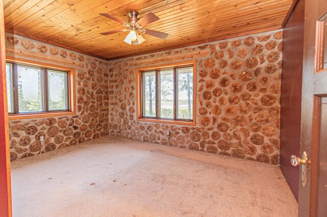 12926 Daisy Ln SW, Farwell, MN 56327 - empty room featuring wooden ceiling, carpet floors, and a ceiling fan