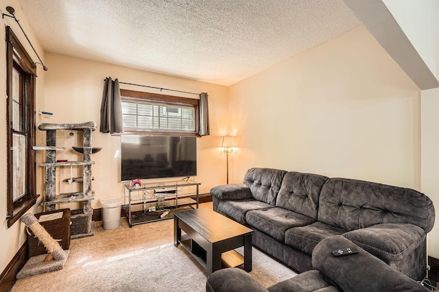 900 Charles Ave, Saint Paul, MN 55104 - living area with carpet flooring, a textured ceiling, and baseboards