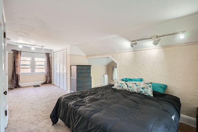 900 Charles Ave, Saint Paul, MN 55104 - bedroom featuring track lighting, a textured wall, carpet flooring, and vaulted ceiling