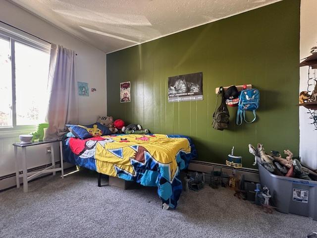 22 Cottonwood Ct, Babbitt, MN 55706 - bedroom featuring carpet flooring and a textured ceiling