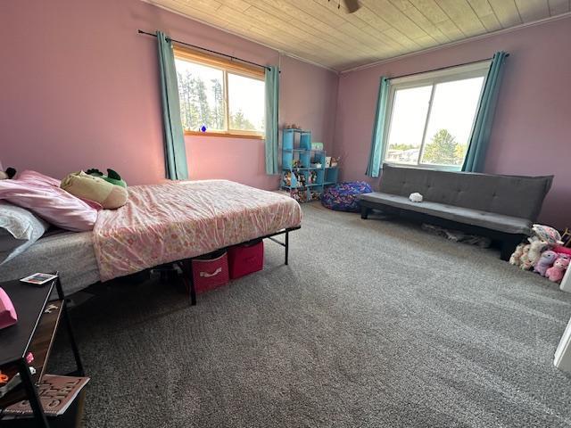 22 Cottonwood Ct, Babbitt, MN 55706 - bedroom with wood ceiling, multiple windows, and carpet