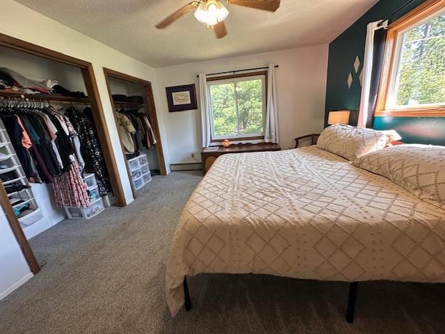 22 Cottonwood Ct, Babbitt, MN 55706 - carpeted bedroom featuring two closets, baseboard heating, a ceiling fan, and a textured ceiling