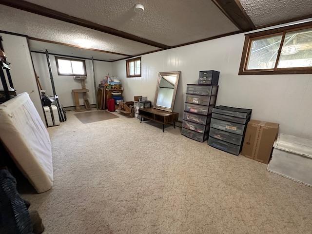 22 Cottonwood Ct, Babbitt, MN 55706 - living area featuring a textured ceiling and carpet