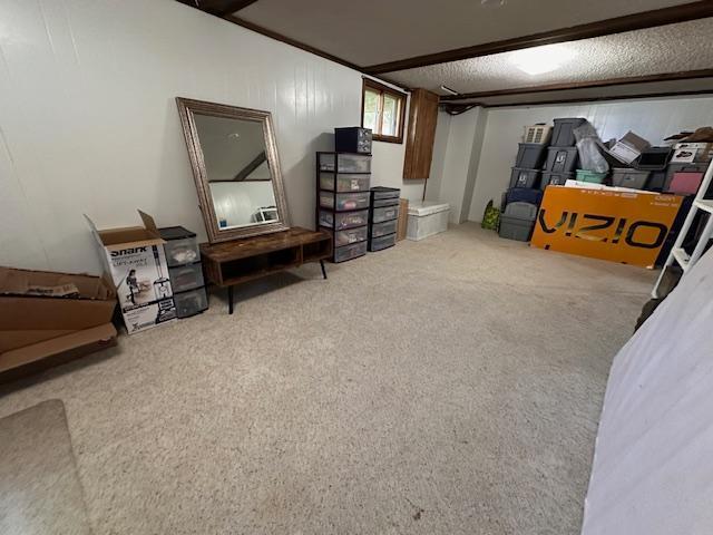 22 Cottonwood Ct, Babbitt, MN 55706 - view of carpeted bedroom