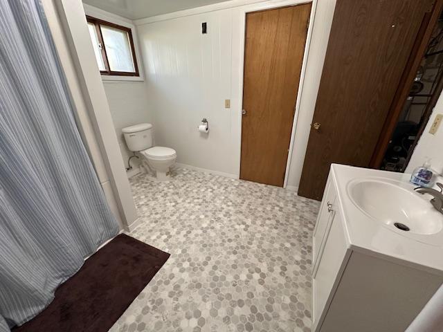 22 Cottonwood Ct, Babbitt, MN 55706 - full bathroom with toilet and vanity