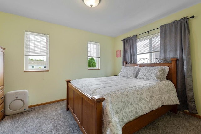 105 Owl Path, Mankato, MN 56001 - bedroom featuring multiple windows, carpet, and baseboards