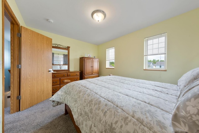 105 Owl Path, Mankato, MN 56001 - view of carpeted bedroom