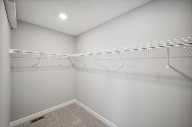 2154 Tyrone Dr, Shakopee, MN 55379 - spacious closet with carpet
