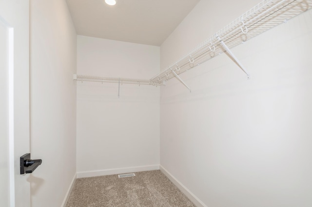 2354 Jandell Ave NE, Saint Michael, MN 55376 - walk in closet with light colored carpet