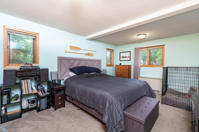 41780 Kansas Point Ln, Pelican Rapids, MN 56572 - view of carpeted bedroom