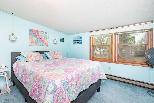 41780 Kansas Point Ln, Pelican Rapids, MN 56572 - bedroom with carpet floors, a baseboard radiator, and vaulted ceiling