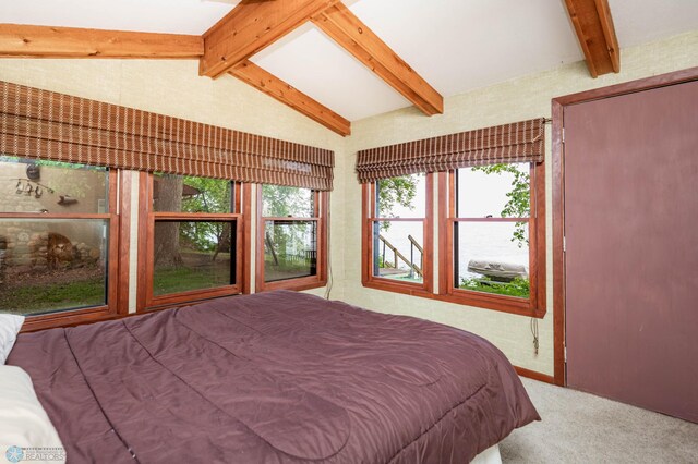 41780 Kansas Point Ln, Pelican Rapids, MN 56572 - view of carpeted bedroom