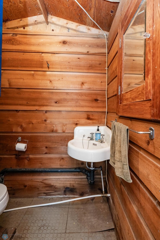 41780 Kansas Point Ln, Pelican Rapids, MN 56572 - bathroom featuring toilet, a sink, and wooden walls