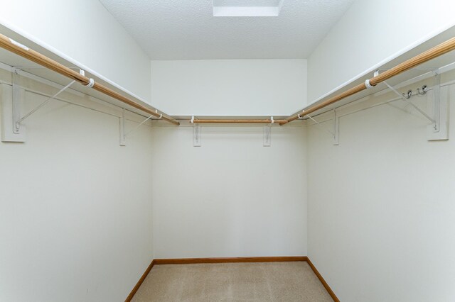 2225 Fisher Ct NW, Rochester, MN 55901 - spacious closet with light colored carpet