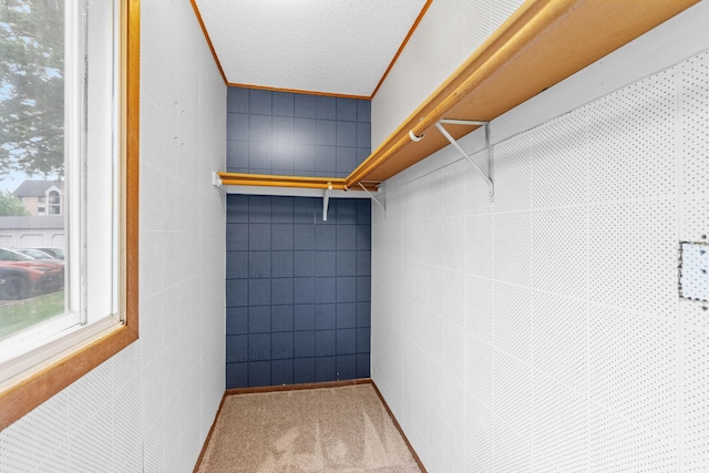 2310 Benson Ave Unit H, Saint Paul, MN 55116 - spacious closet with carpet floors