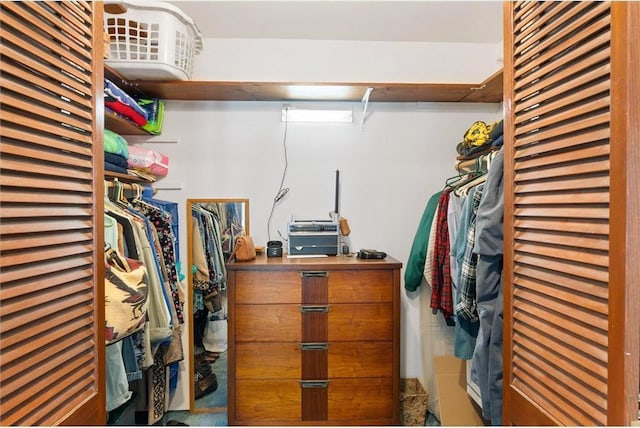 20907 Erickson Ln, Trade Lake, WI 54840 - view of spacious closet