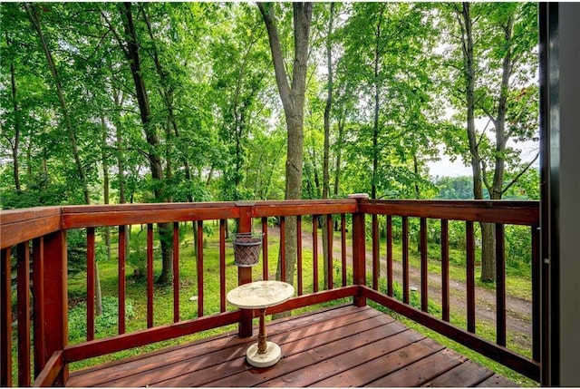 20907 Erickson Ln, Trade Lake, WI 54840 - view of deck