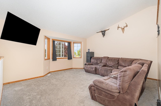 509 8th Ave SE, Isanti, MN 55040 - carpeted living area featuring lofted ceiling and baseboards
