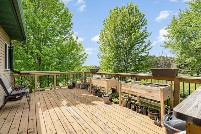 509 8th Ave SE, Isanti, MN 55040 - view of wooden deck