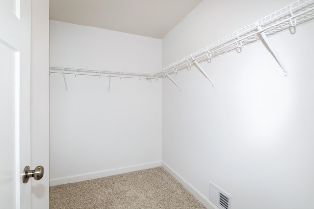 walk in closet with carpet floors