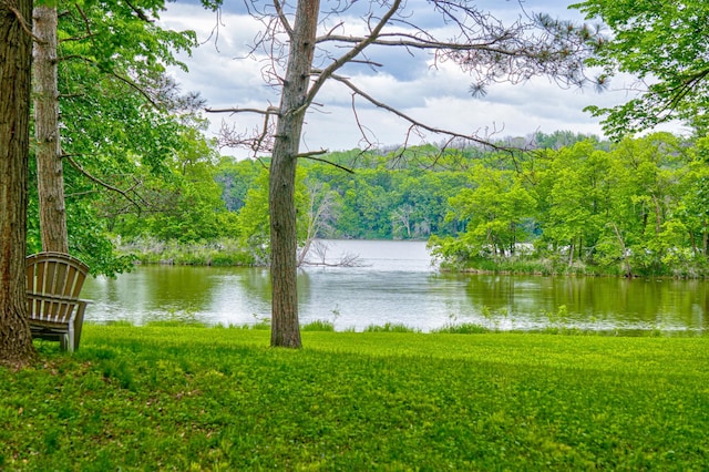 TBD Grey Cloud Trl S, Cottage Grove, MN 55016
