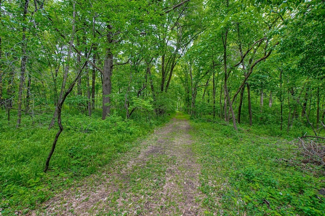TBD Grey Cloud Trl S, Cottage Grove, MN 55016