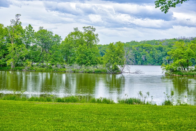 TBD Grey Cloud Trl S, Cottage Grove, MN 55016