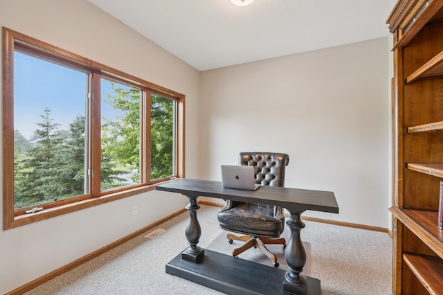 22705 Linden Dr, Rogers, MN 55374 - photo 19