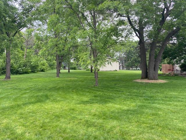 13993 Crosstown Blvd NW, Andover, MN 55304 - view of green lawn