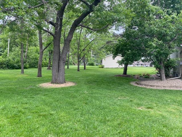 13993 Crosstown Blvd NW, Andover, MN 55304 - view of green lawn