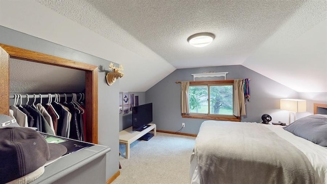13993 Crosstown Blvd NW, Andover, MN 55304 - bedroom with lofted ceiling, carpet, a closet, and a textured ceiling