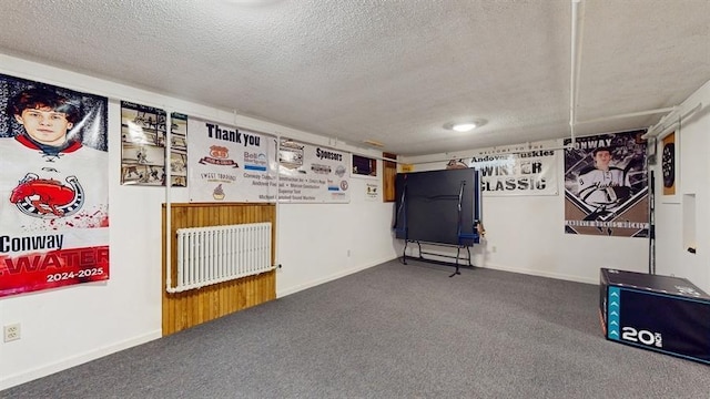 13993 Crosstown Blvd NW, Andover, MN 55304 - finished basement with carpet floors and a textured ceiling