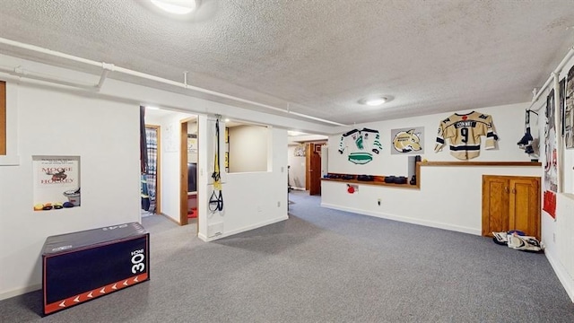13993 Crosstown Blvd NW, Andover, MN 55304 - finished below grade area with a textured ceiling and carpet
