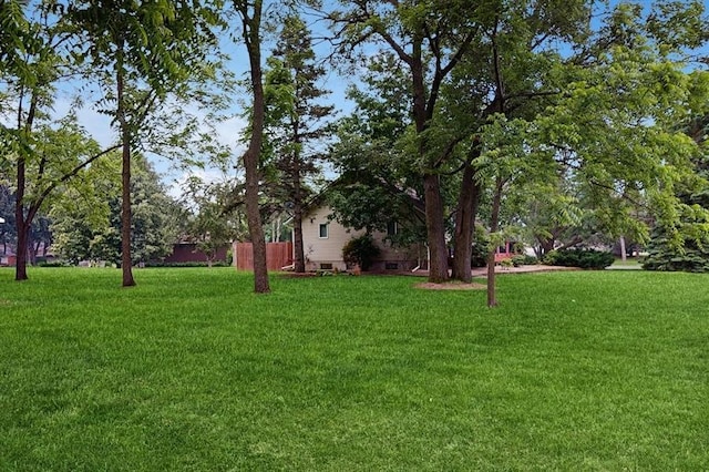13993 Crosstown Blvd NW, Andover, MN 55304 - view of green lawn