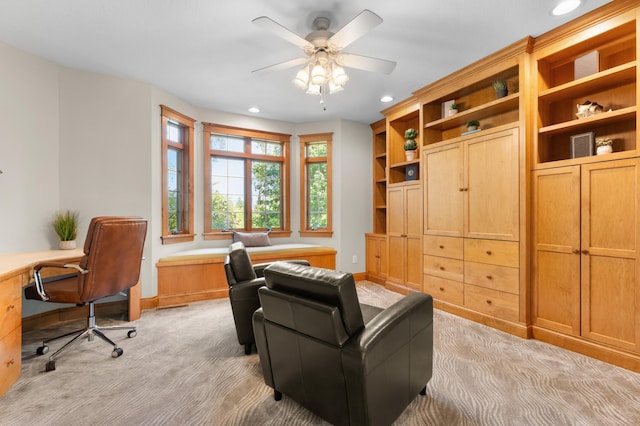 8876 Pine Crest Ln NW, Oronoco Twp, MN 55901 - photo 8