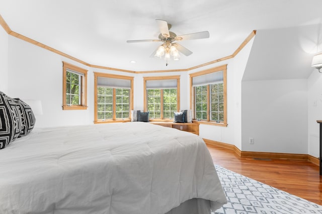8876 Pine Crest Ln NW, Oronoco Twp, MN 55901 - photo 32