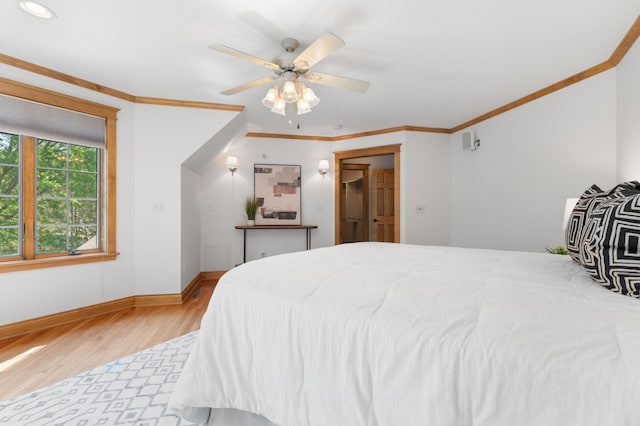 8876 Pine Crest Ln NW, Oronoco Twp, MN 55901 - photo 34