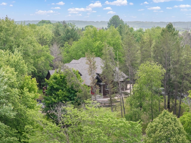 8876 Pine Crest Ln NW, Oronoco Twp, MN 55901 - photo 82